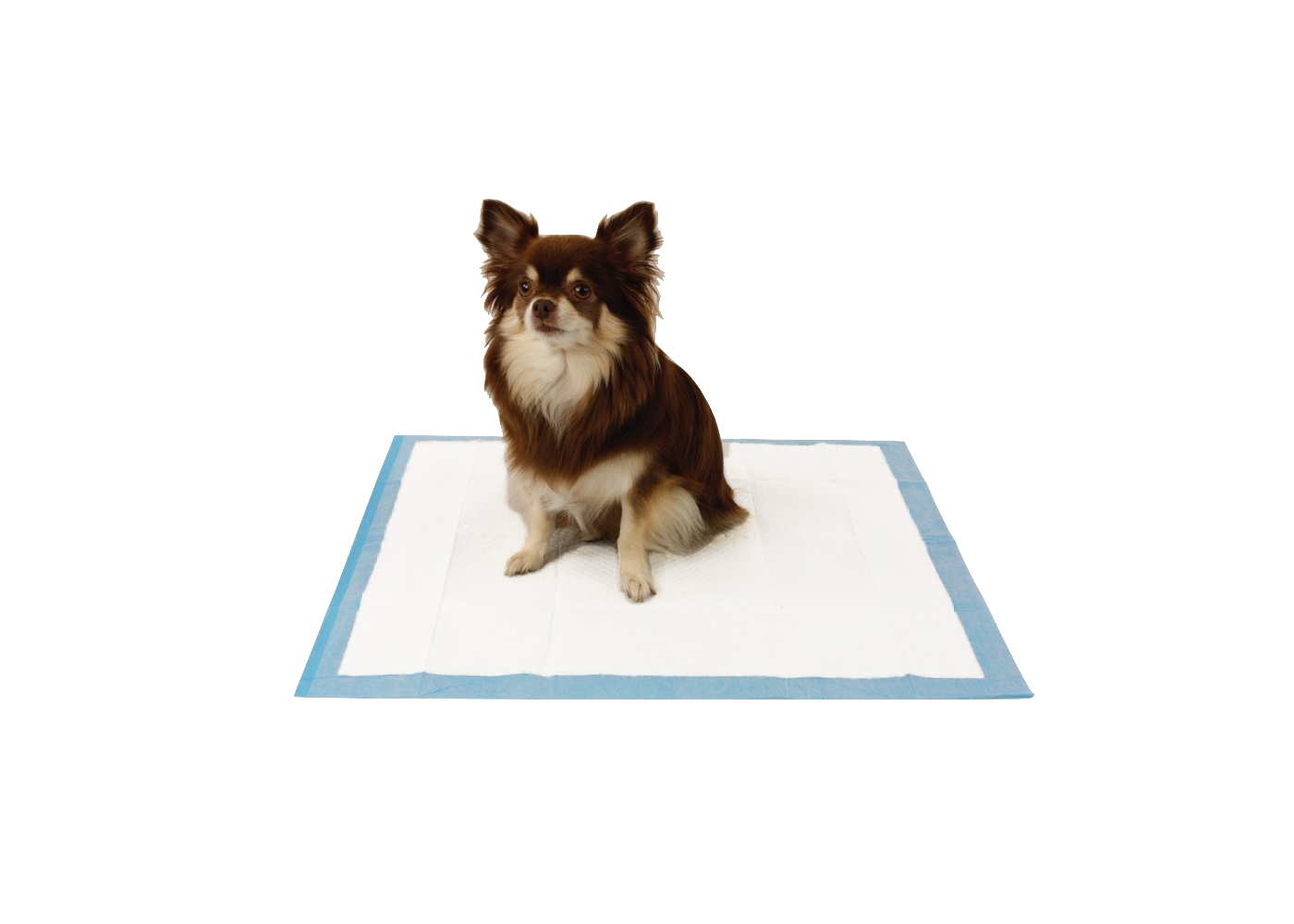 Puppy training pads Beste kwaliteit, laagste prijs aanbieding